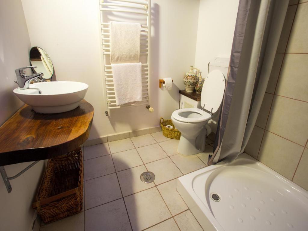 Casa Ferica Villa Azuga Ngoại thất bức ảnh